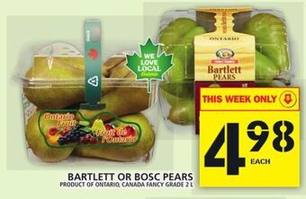 Food Basics Bartlett or bosc pears offer