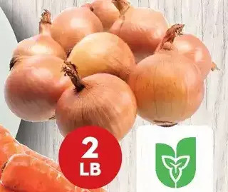 Giant Tiger 2 lb yellow onions offer