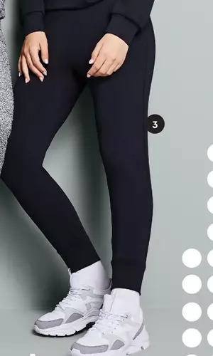 Giant Tiger Pants offer