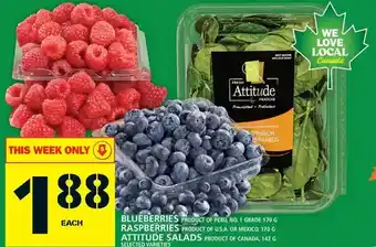 Food Basics Blueberries, raspberries, attitude salads offer