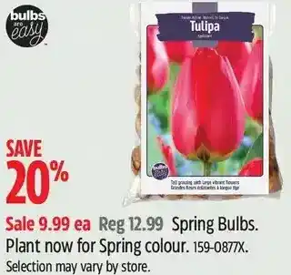 Canadian Tire Bulbs easy spring bulbs. offer