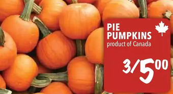 Farm Boy Pie pumpkins offer