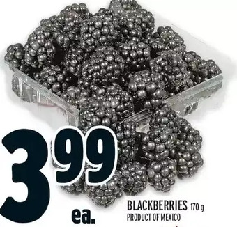 Metro Blackberries offer