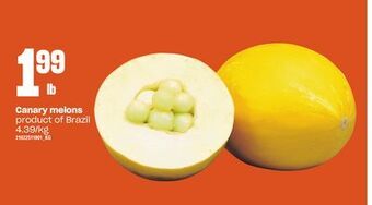 Loblaws Canary melons offer