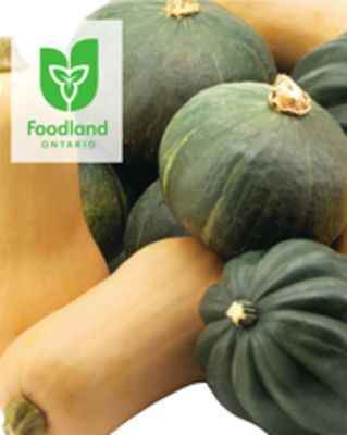 Foodland Assorted squash acorn, butternut, buttercup or spaghetti offer