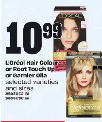 Independent Grocer L'oréal hair colour or root touch up or garnier olia offer