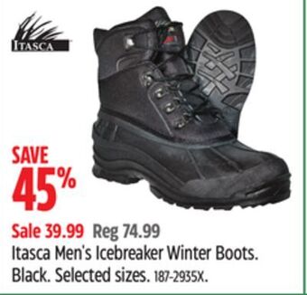 Canadian Tire Itasca men's icebreaker winter boots offer