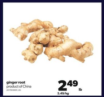 Real Canadian Superstore Ginger root offer