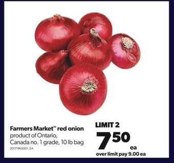 Real Canadian Superstore Farmers market™ red onion, 10 lb bag offer