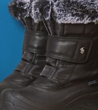 Giant Tiger Women's ice fields boots offer