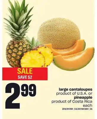 Zehrs Markets Large cantaloupes or pineapple, each offer