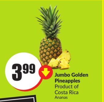 FreshCo Jumbo golden pineapples product of costa rica offer
