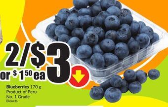 FreshCo Blueberries 170 g product of peru no. 1 grade offer