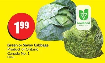 FreshCo Green or savoy cabbage product of ontario canada no. 1 offer