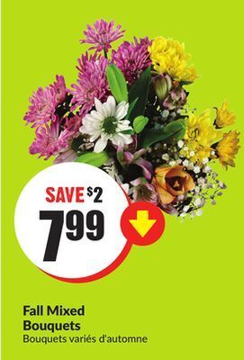 FreshCo Fall mixed bouquets offer