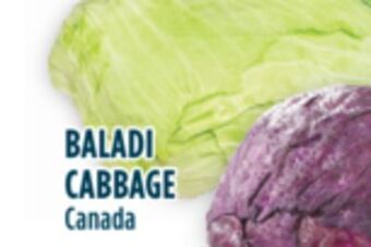 Marché Adonis Baladi cabbage offer