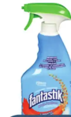 Giant Tiger Fantastik or family guard cleaners offer