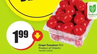 Chalo FreshCo Grape tomatoes pint product of ontario offer