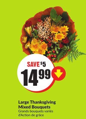 Chalo FreshCo Large thanksgiving mixed bouquets offer