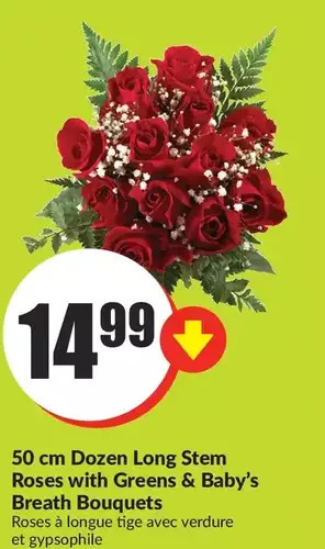 FreshCo 50 cm dozen long stem roses with greens & baby's breath bouquets offer