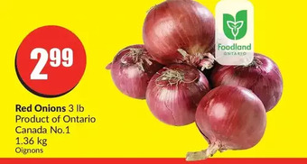 FreshCo Red onions offer