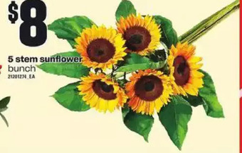 Loblaws 5 stem sunflower offer