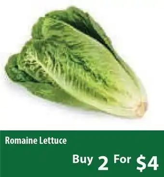 Healthy Planet Romaine lettuce offer