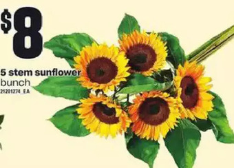 Independent Grocer 5 stem sunflower offer
