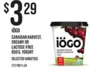 Independent Grocer Iogo canadian harvest, creamy or lactose-free yogurt offer