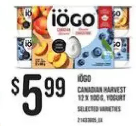 Independent Grocer Iogo canadian harvest yogurt offer