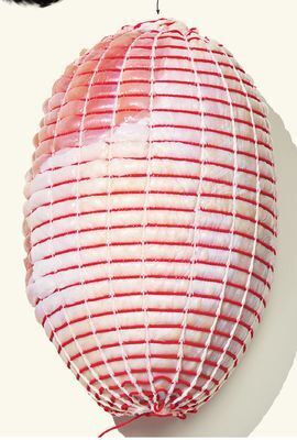 Longo's Longo's fresh ontario raised without antibiotics boneless turkey breast roast offer