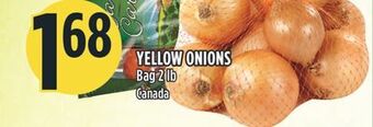 Marché Adonis Yellow onions offer