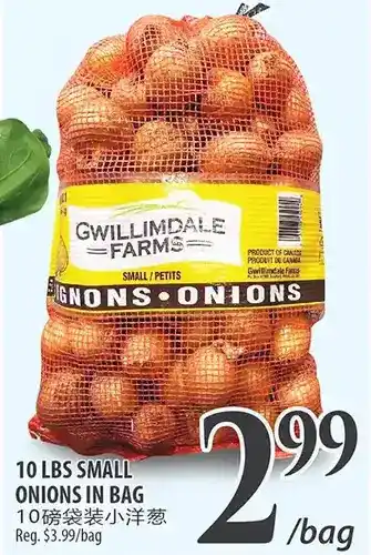 10 lbs small onions in bag