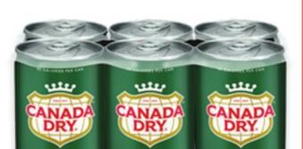 Walmart Canada dry® ginger ale mini cans offer