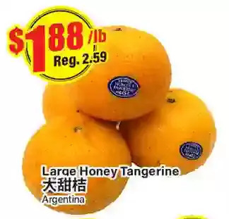 Btrust Supermarket Large honey tangerine offer