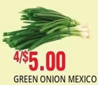 88 Supermarket Green Onion Mexico offer