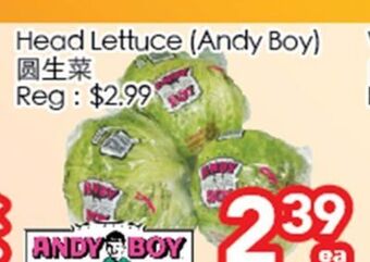 Superking Supermarket Head lettuce offer