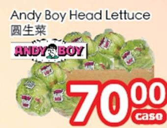 Superking Supermarket Andy boy head lettuce offer