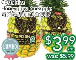 Ample Food Market Costa rica honeyglow pineapple offer