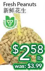 Ample Food Market Fresh peanuts offer