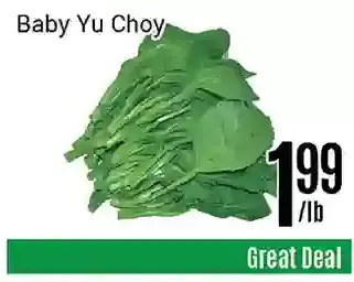 Nations Fresh Foods Baby yu choy offer