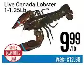 Nations Fresh Foods Live canada lobster offer