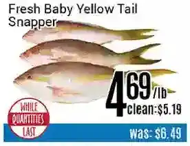 Nations Fresh Foods Fresh baby yello tail offer