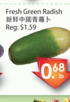 Fresh Palace Supermarket Fresh green radish offer