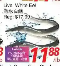 Foody World Live white eel offer