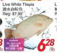 Foody World Live white tilapia offer