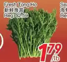 Foody World Fresh tong ho offer