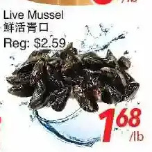 Foody World Live mussel offer