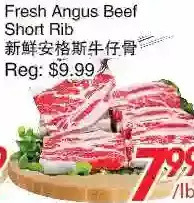 Foody World Fresh angus beef short rib offer