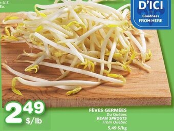IGA Bean Sprouts offer